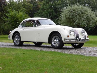 Jaguar+XK 150