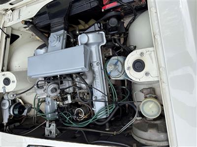 Triumph+Stag