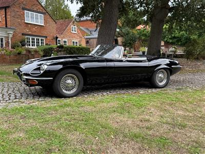 Jaguar+V12 E type Roadster