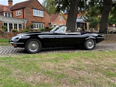 Jaguar+V12 E type Roadster