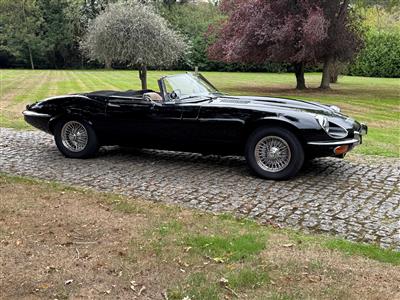 Jaguar+V12 E type Roadster