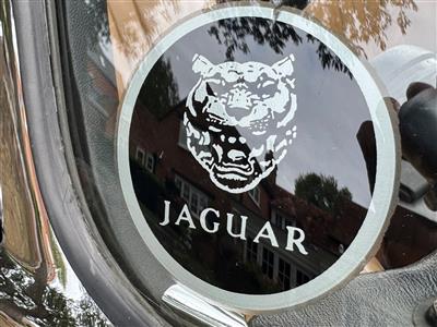 Jaguar+V12 E type Roadster